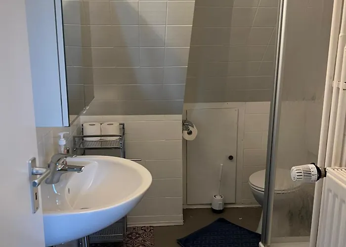 Geraeumige In Direkter Naehe Zum Rhein